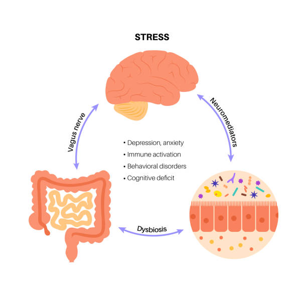 Common Gastrointestinal Disorders