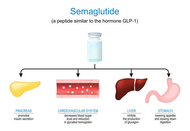 GLP-1 hormone and fiber