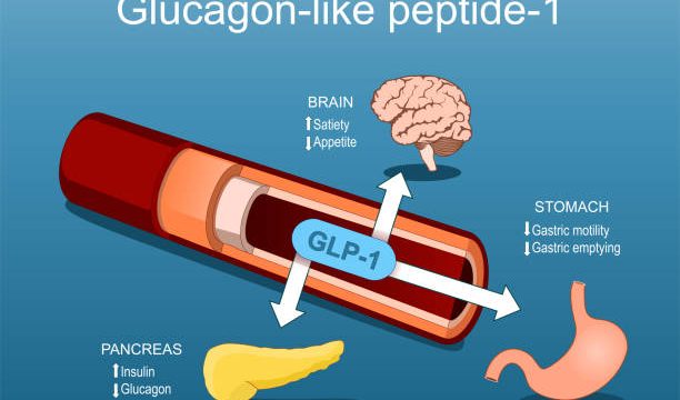 GLP-1 receptors