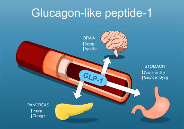 GLP-1 receptors