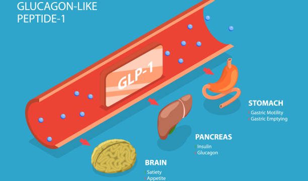 Glucagon