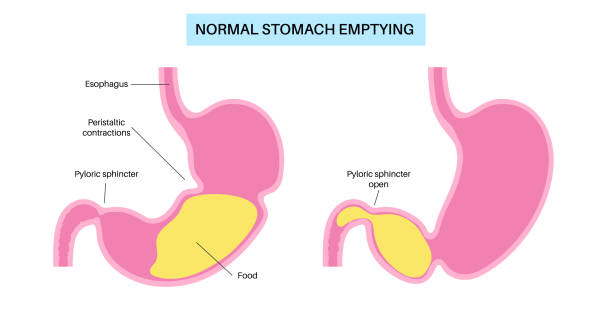 Gut Motility with GLP-1