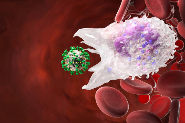 metabolic effects of GLP-1